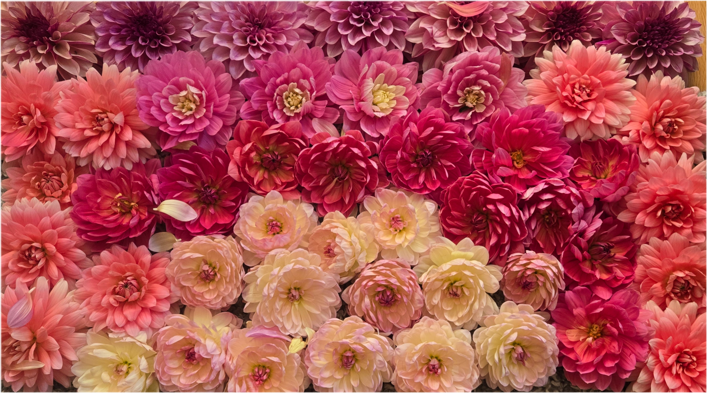 Bouquet Subscription