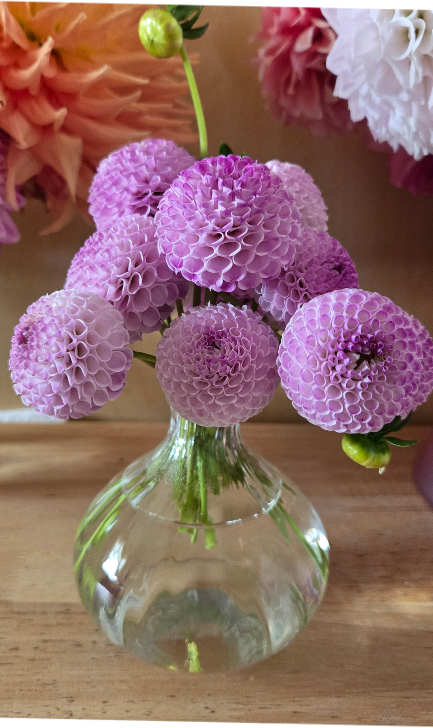 Irish Speckles
