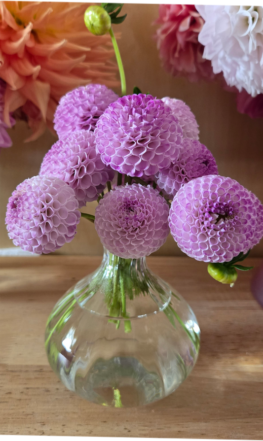 Irish Speckles