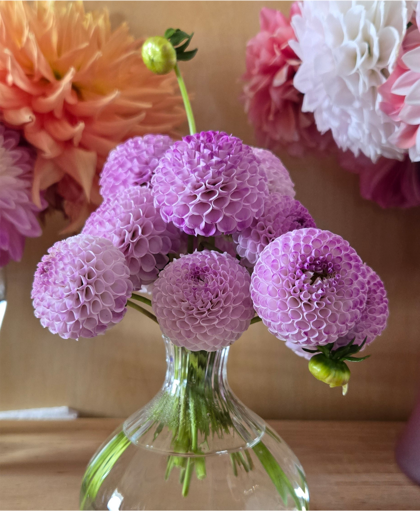 Irish Speckles